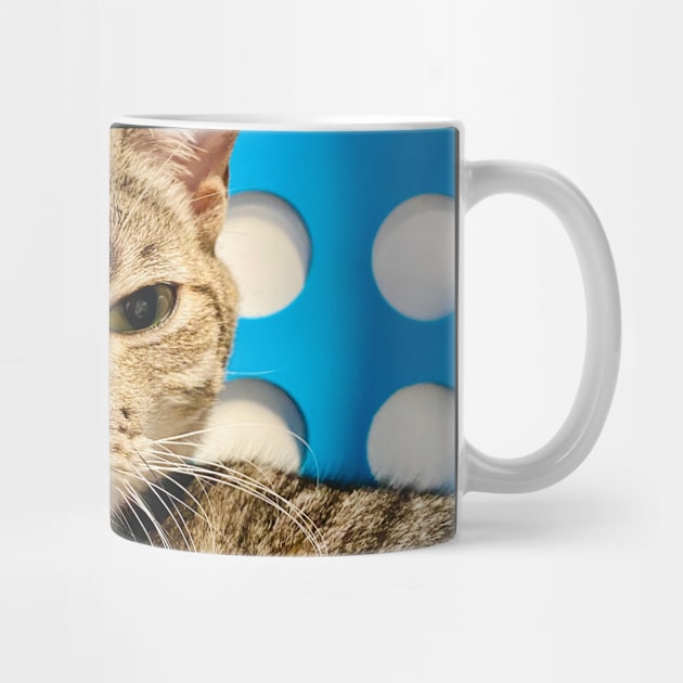 Cat Cafe: Queen Elizabeth (gifts) by VisualSpice